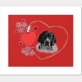 english pointer Posters and Art